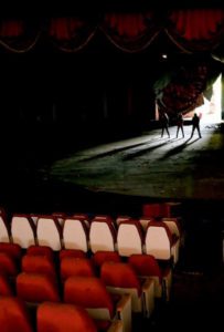 In "The Circus Comes to Kampala" the cultural mixture of a seedy gypsy circus in politically turbulent Kampala enables insights into anonymity and emotional confusion